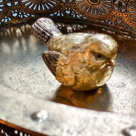 Exklusive Agnes In Zentraler Bestlage Von Zeitz! Vollausgestattet, Freie Parkplaetze, Magenta-tv, Highspeed Wlan, Fahrstuhl Цайц